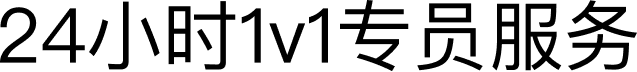 文字内容